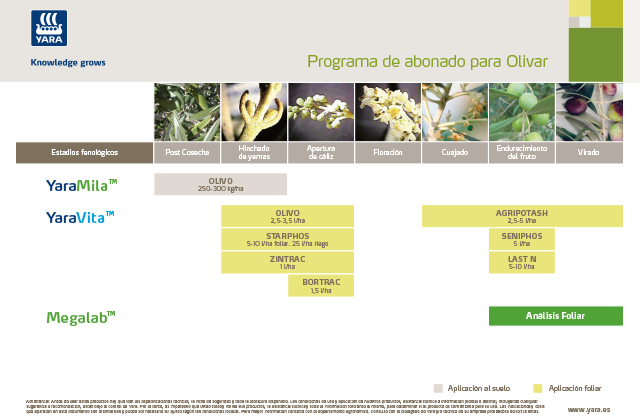 Programa de Fertilización Yara para olivar