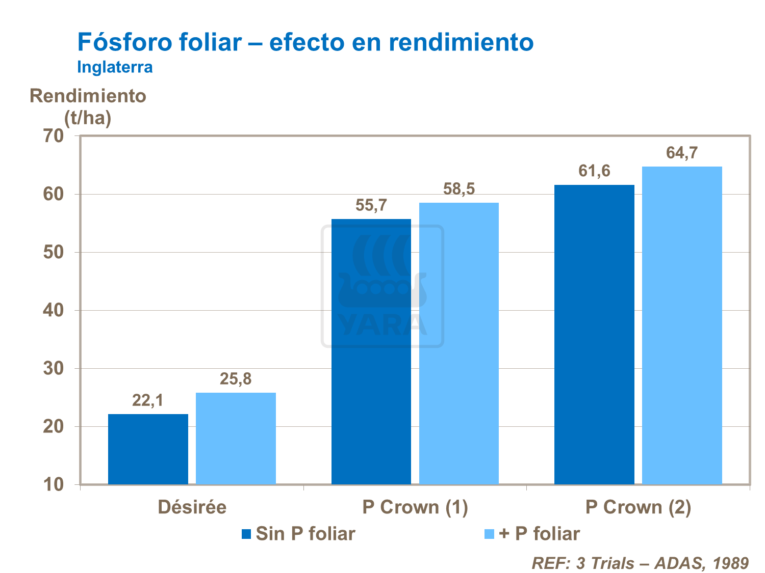 Fósforo foliar – efecto en rendimiento