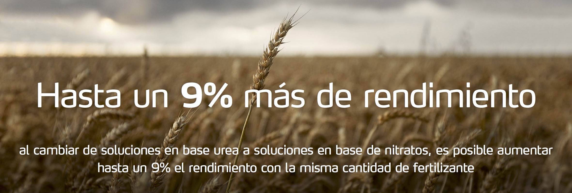 El cambio a productos a base de nitratos puede suponer hasta un 9% m&aacute;s de rendimiento