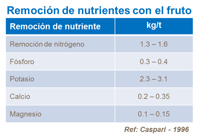 abonos, yara, abono, uva
