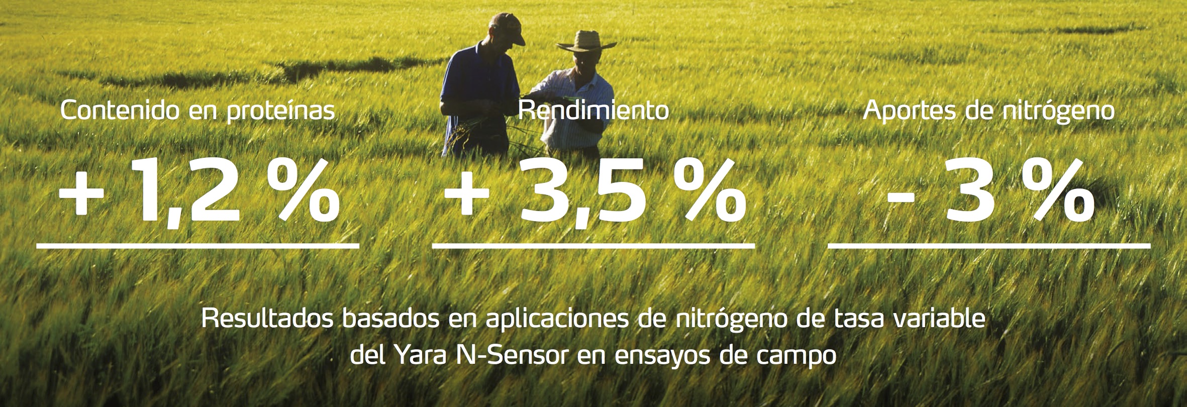 Mejoras en la prote&iacute;na, el rendimiento y el nitr&oacute;geno