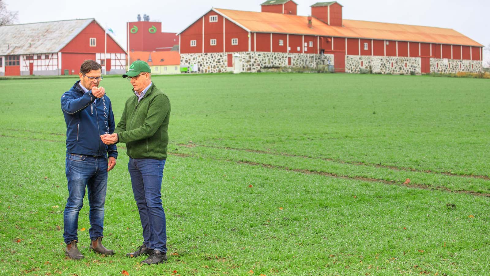 Lantmannen y Yara, socios