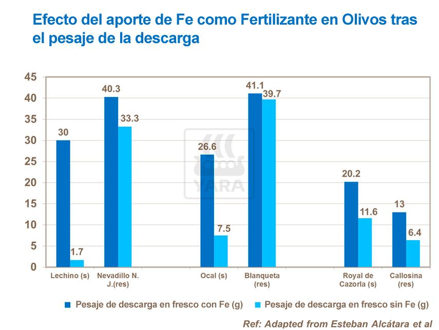 abonos, yara, abono, uva