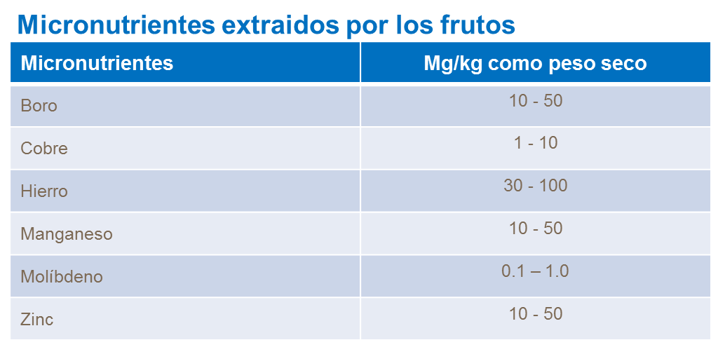 abonos, yara, abono, tomate