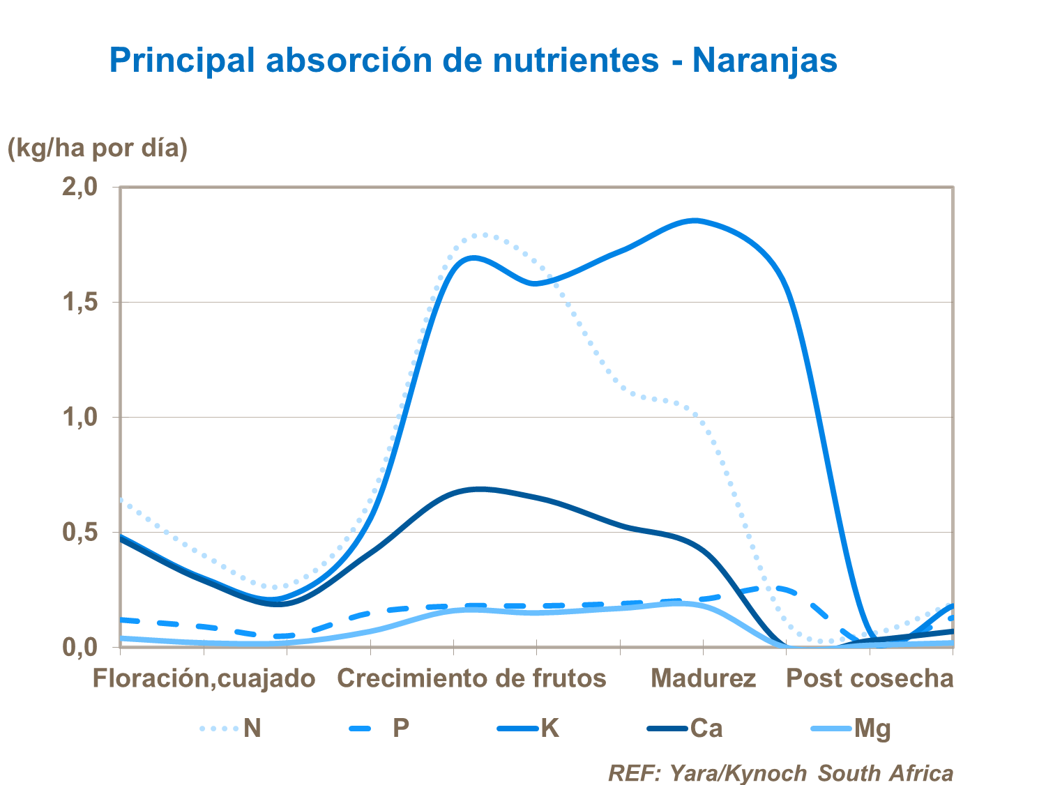 Principales nutrientes absorbidos en c&iacute;tricos